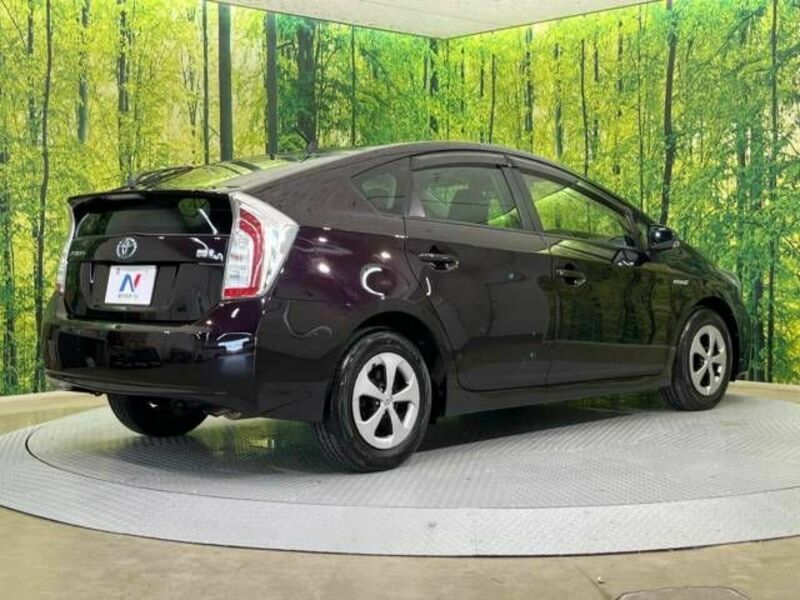 PRIUS-16