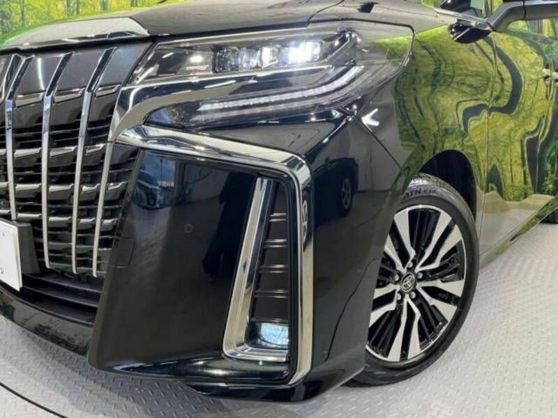 ALPHARD-13