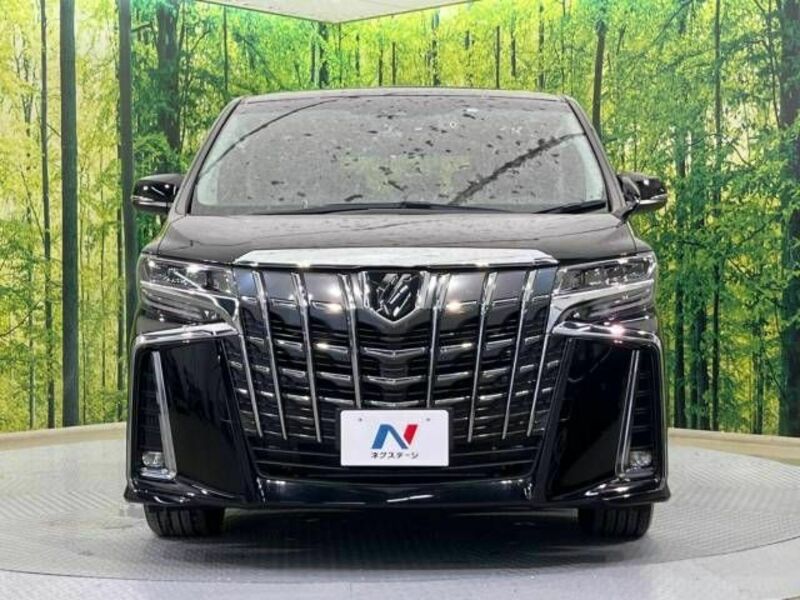 ALPHARD-15