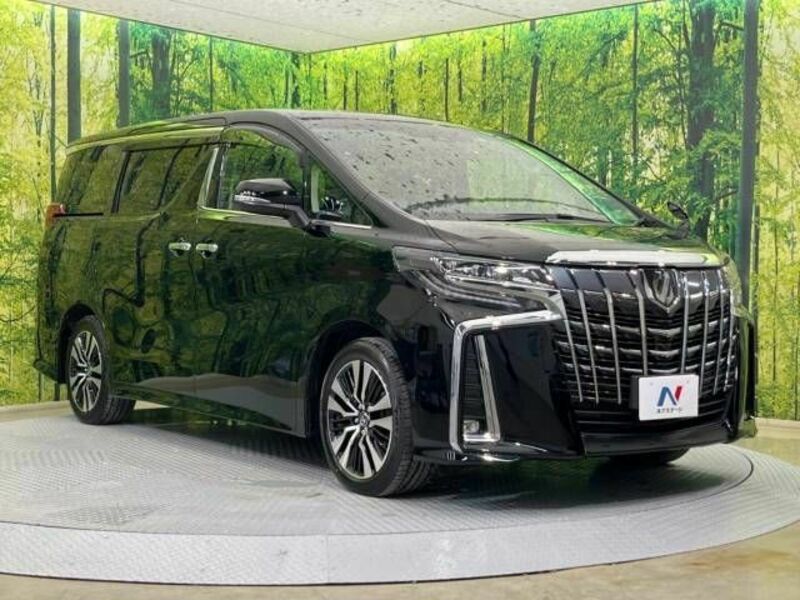 ALPHARD-17