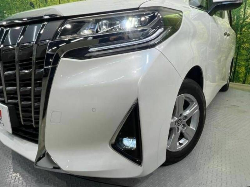 ALPHARD-13