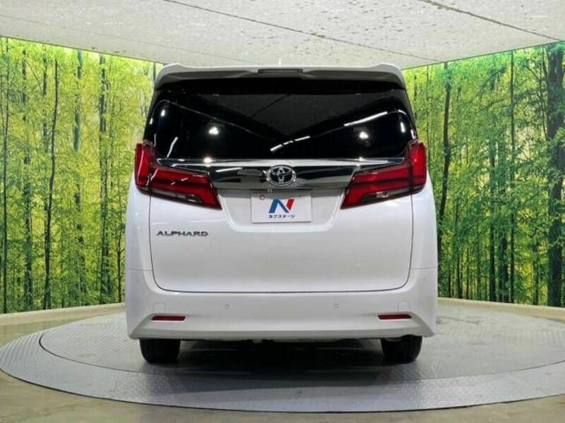 ALPHARD-16