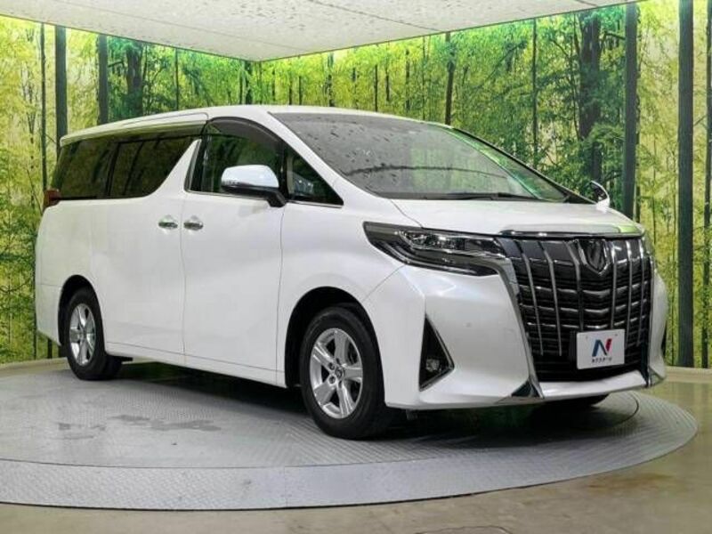 ALPHARD-17