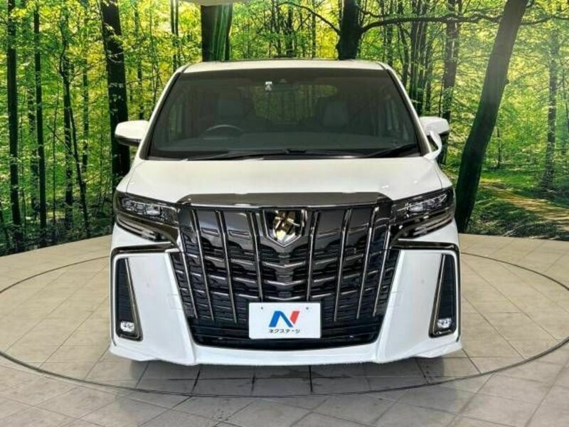 ALPHARD-14