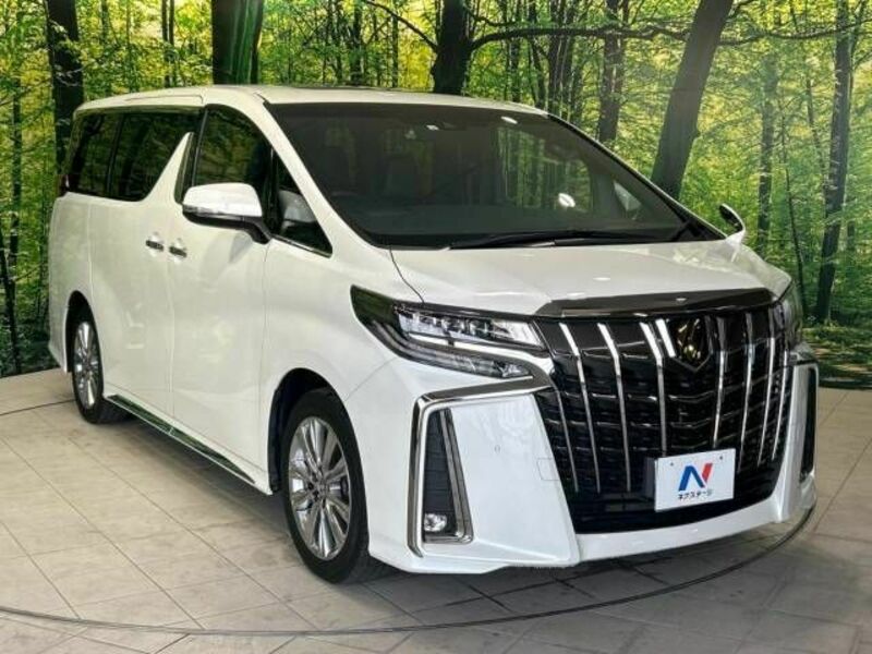 ALPHARD-16