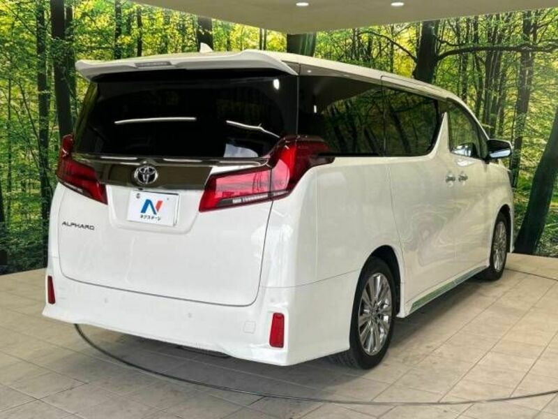 ALPHARD-17