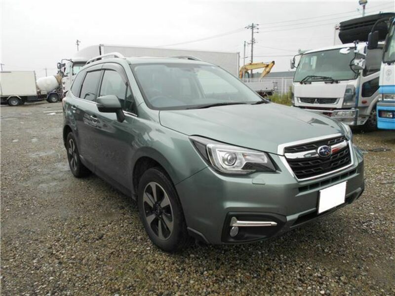 FORESTER