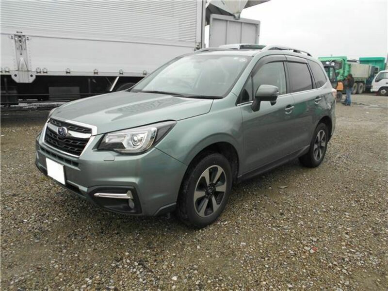 FORESTER-3