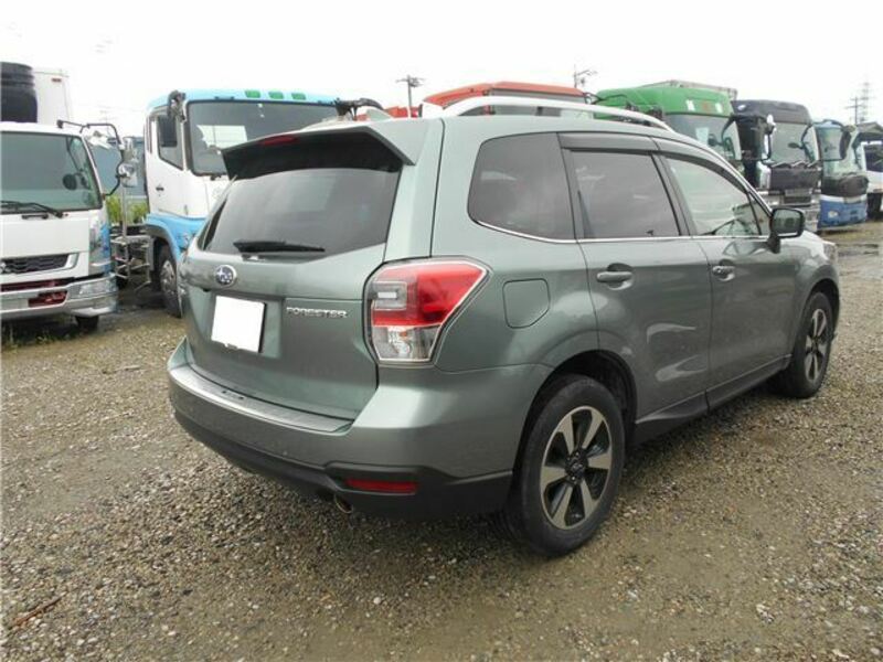 FORESTER-4