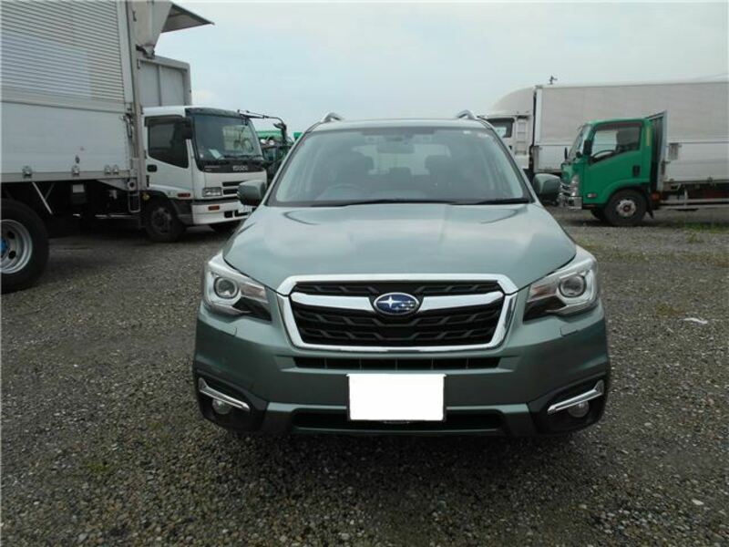 FORESTER-5