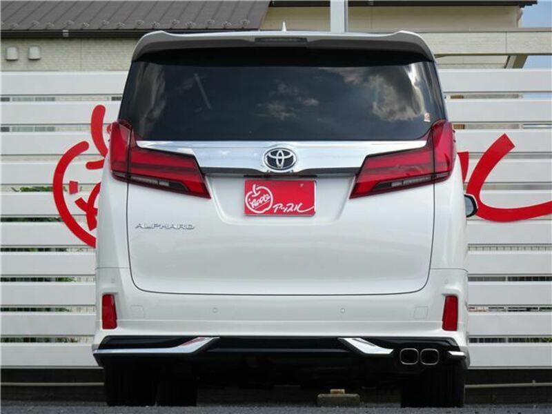 ALPHARD-6