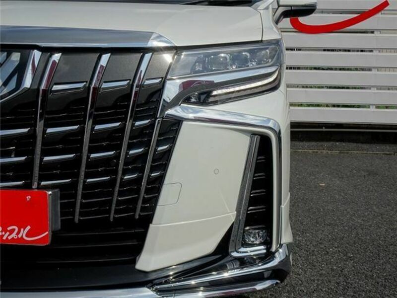 ALPHARD-12