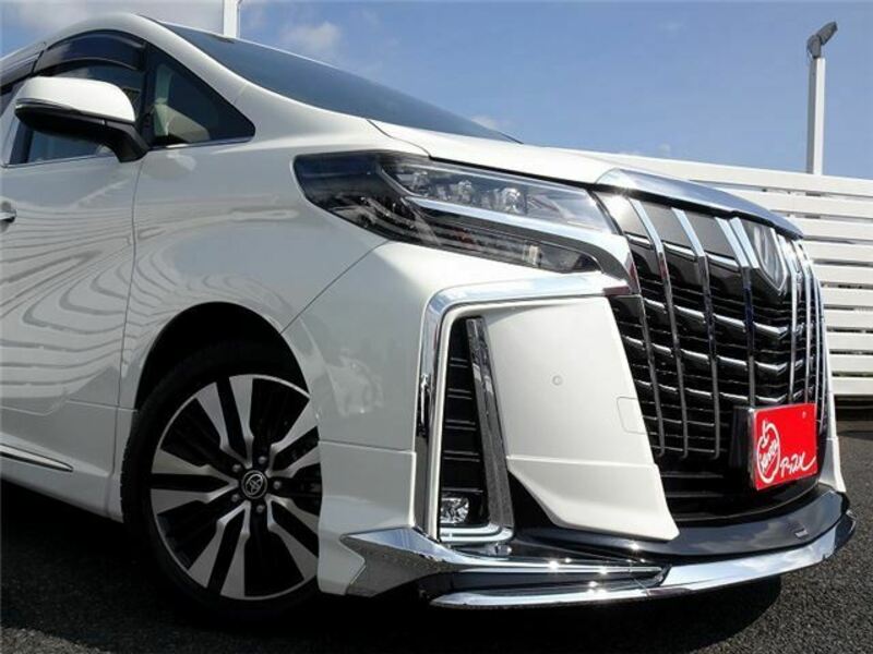 ALPHARD-14