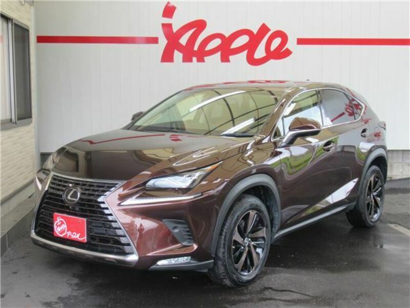 LEXUS　NX