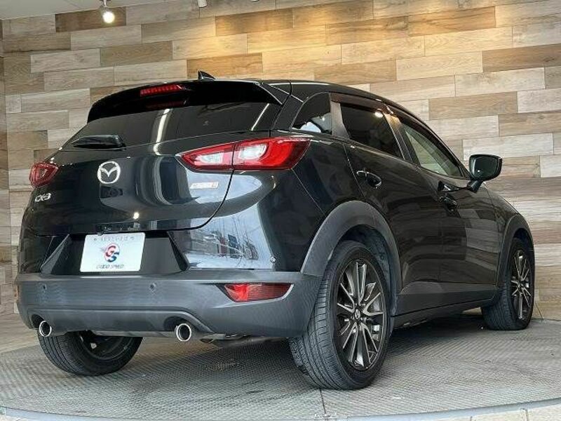 CX-3-16