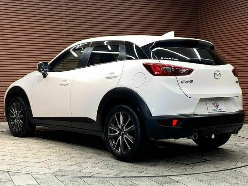 CX-3-15