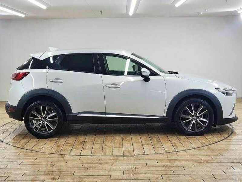 CX-3-13