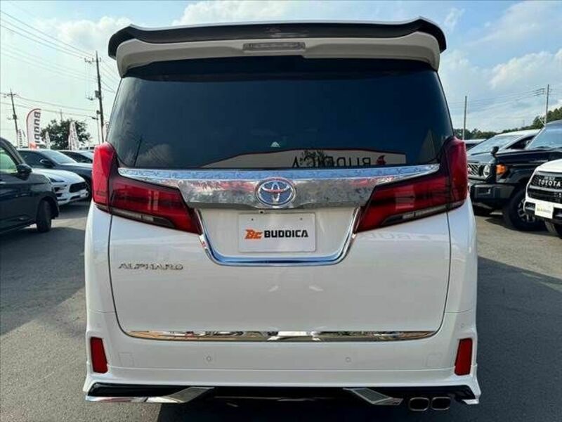 ALPHARD-13