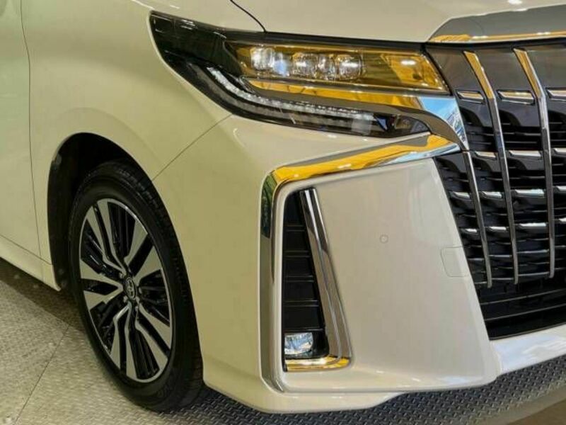 ALPHARD-15