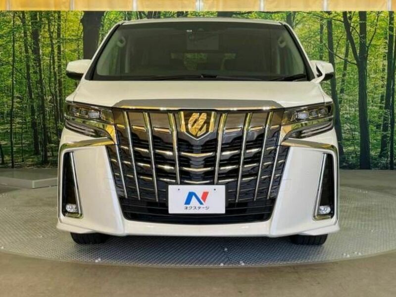 ALPHARD-17