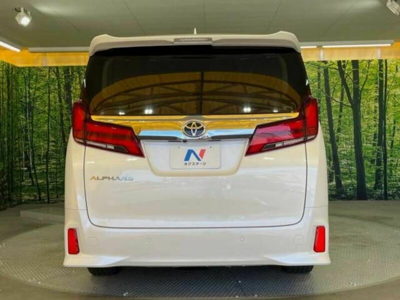 ALPHARD-18