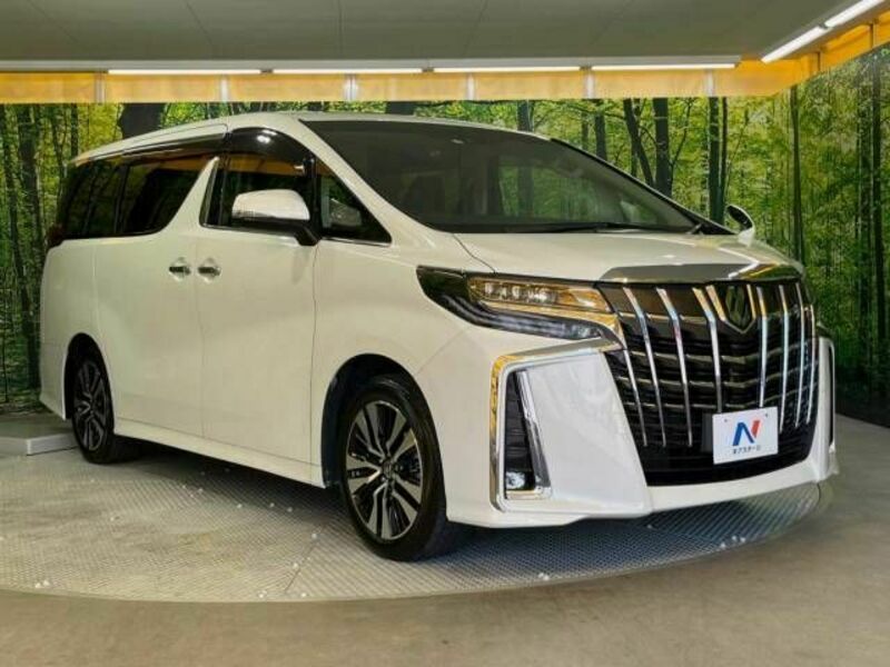 ALPHARD-19