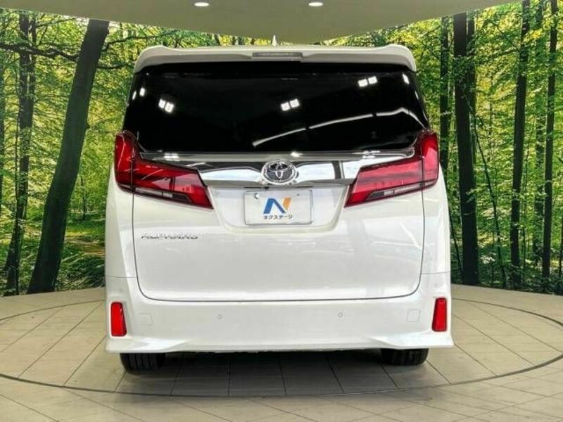 ALPHARD-16