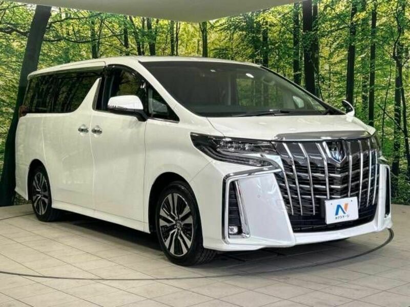 ALPHARD-17