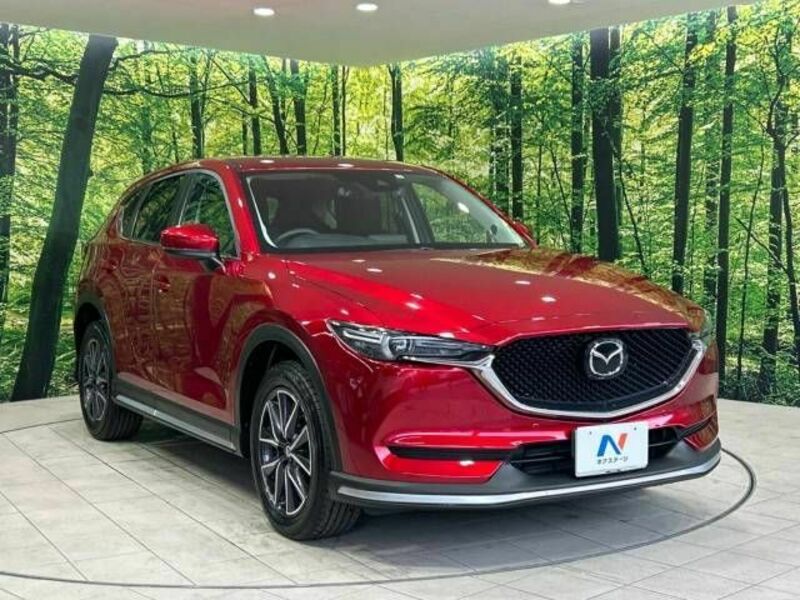 CX-5-16