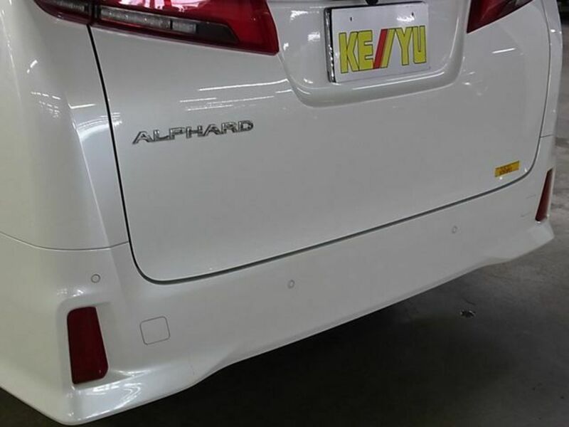 ALPHARD-29