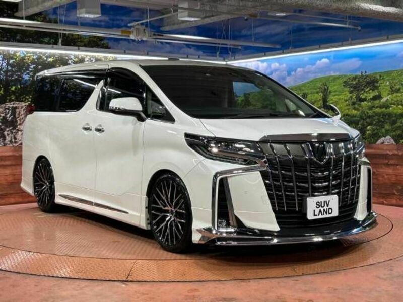 ALPHARD-17