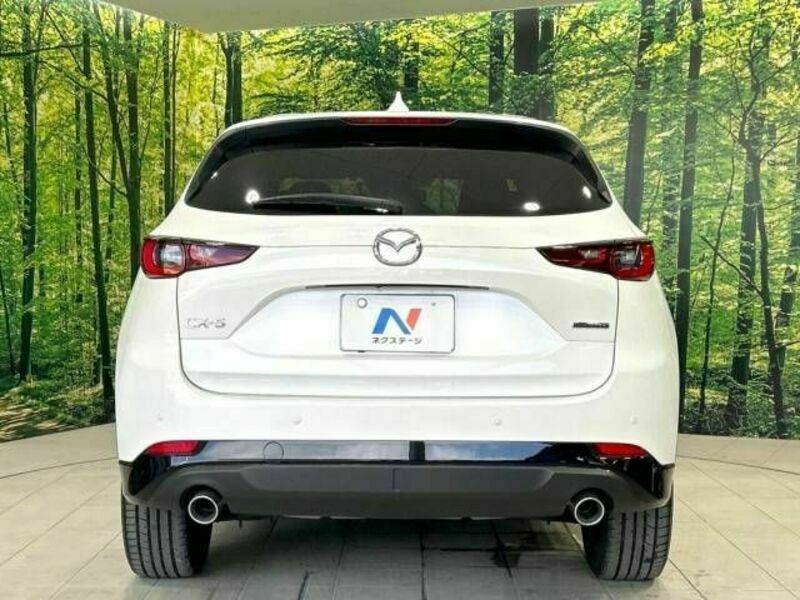 CX-5-15