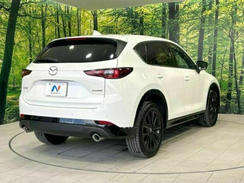 CX-5-17