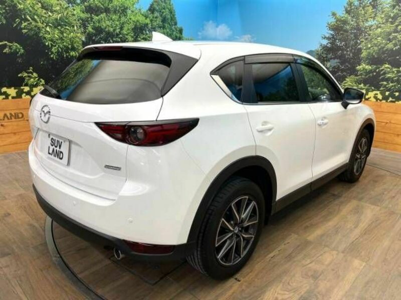 CX-5-17