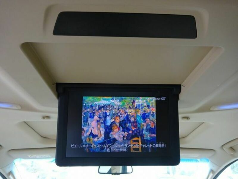 ALPHARD-18