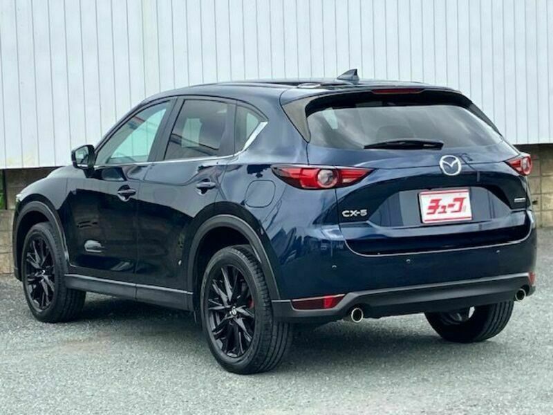 CX-5-8