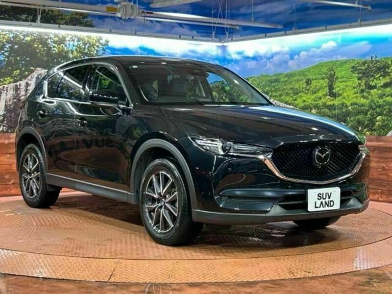 CX-5-16