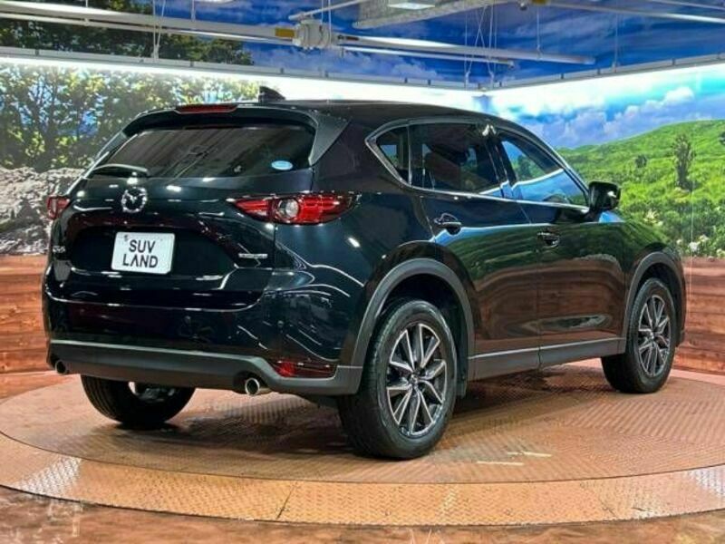 CX-5-17