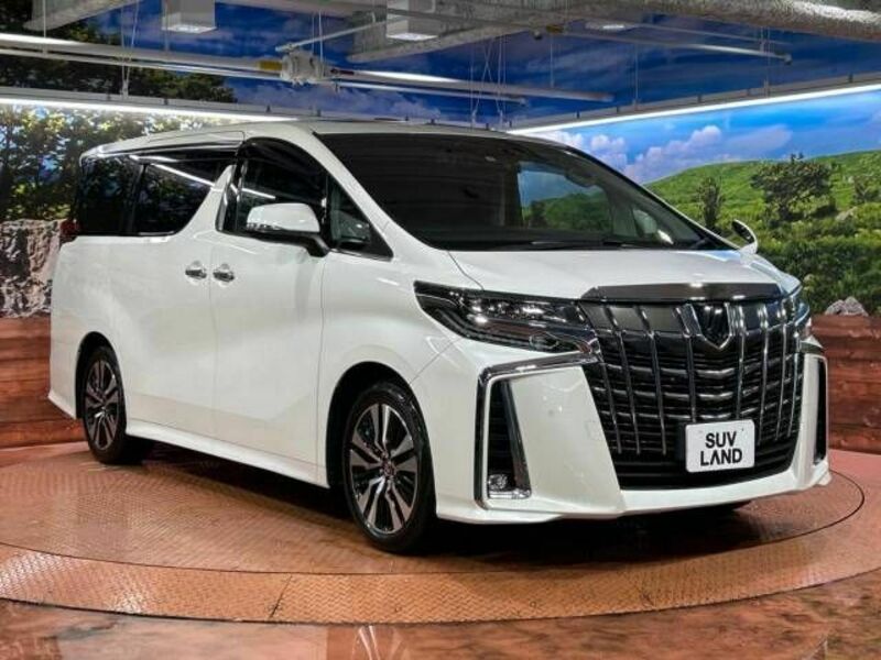 ALPHARD-17