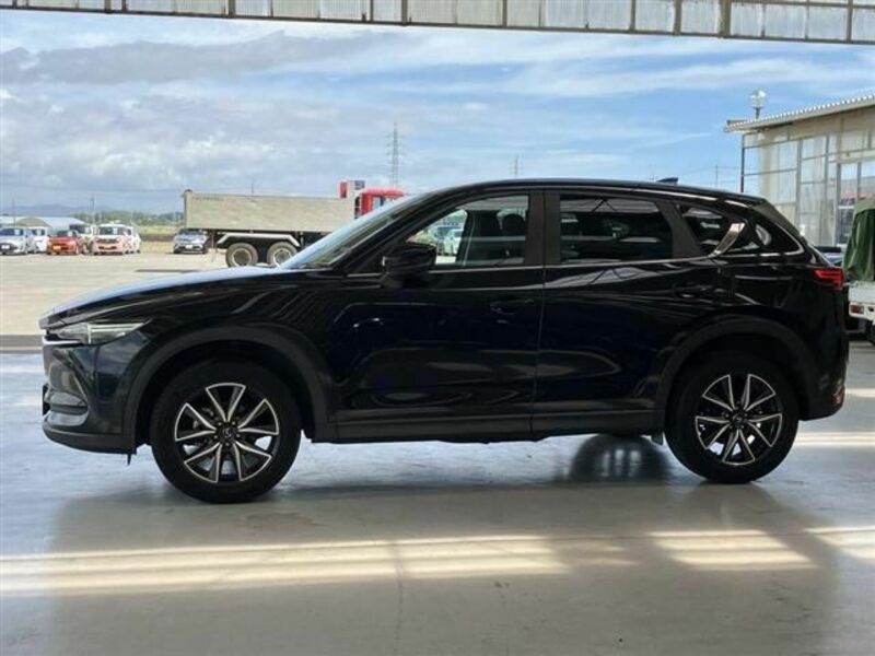 CX-5-23