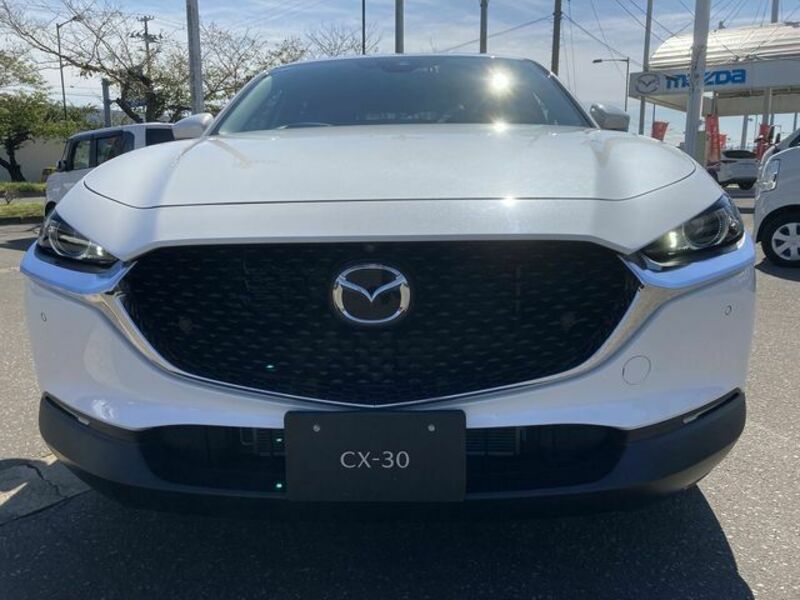 CX-30-1