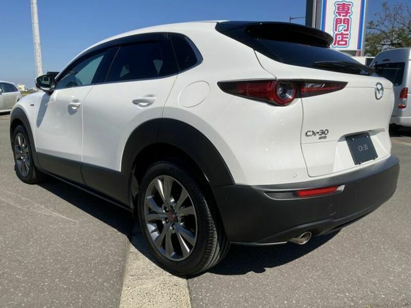 CX-30-6