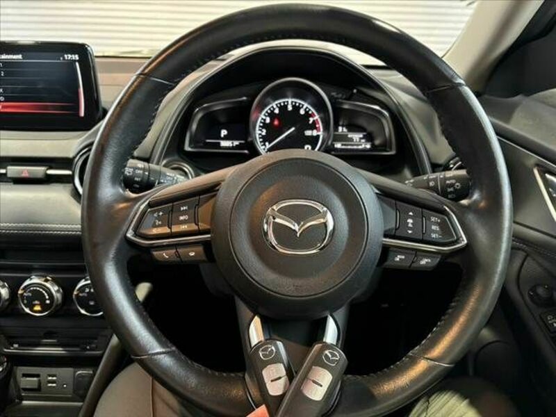 CX-3-6