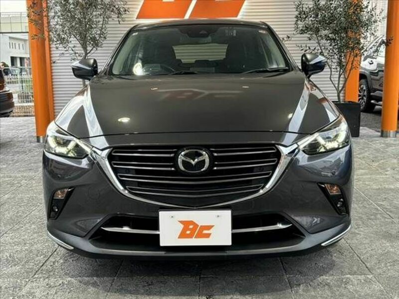 CX-3-8