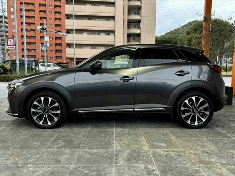 CX-3-10