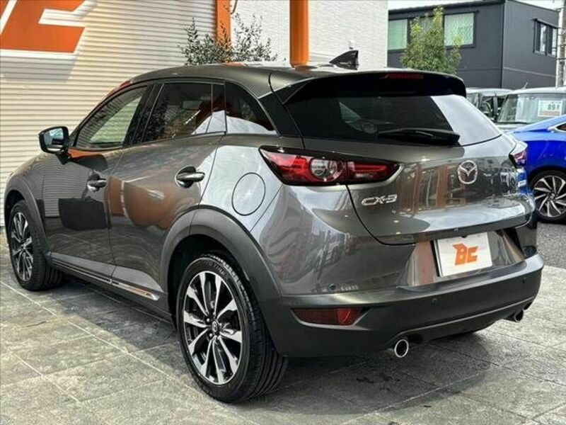 CX-3-12