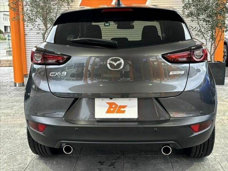 CX-3-13