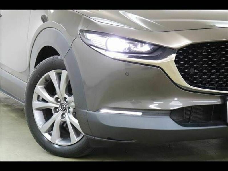 CX-30-22