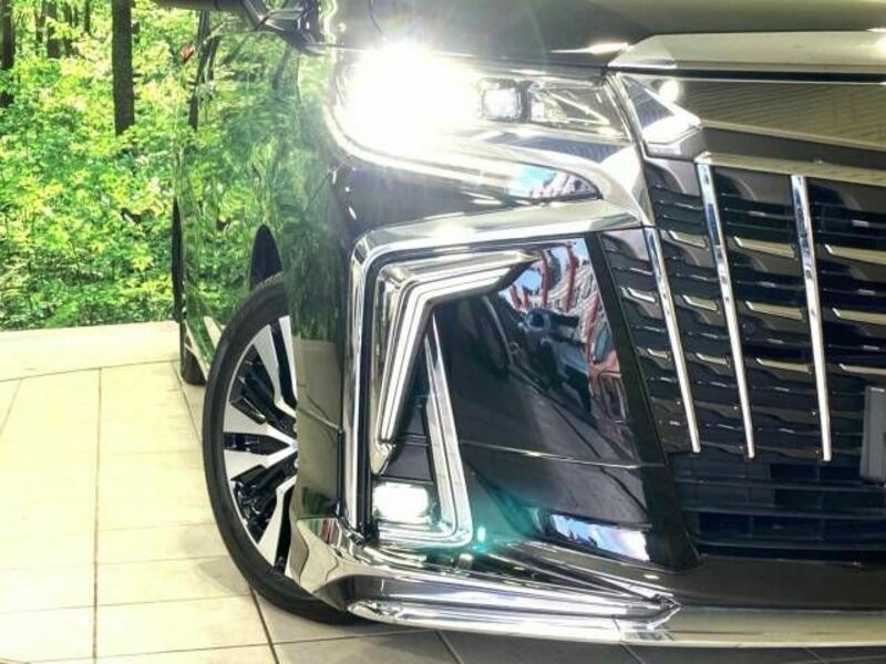 ALPHARD-13