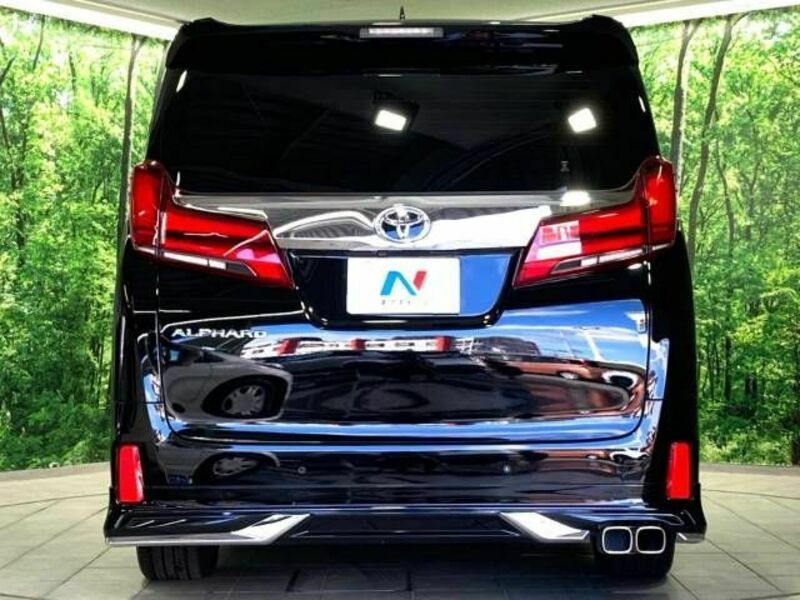 ALPHARD-16